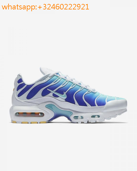 nike tn bleu et blanc nike tn bleu et blanc